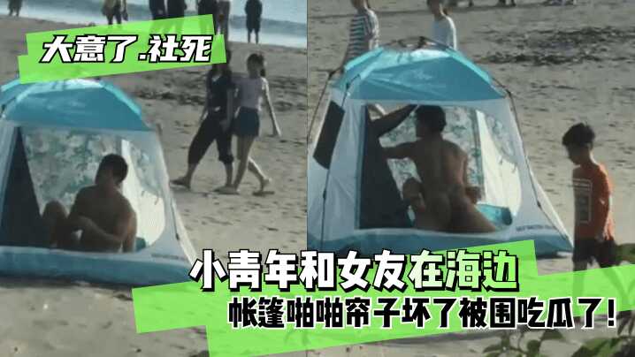 久久这里只有国产中文精品网,丰满少妇AV无码区