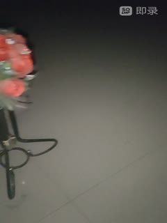 亚洲一区二区蜜桃导航,国产精品无码午夜福利院色噜噜